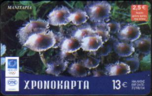 xronmanitaria.jpg